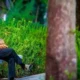 پرداخت صد ها هزار میلیارد تومان بدهی به سازمان تامین اجتماعی | توپ در زمین دولت است