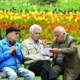 این افراد با ۲۰ سال سابقه بازنشسته می شوند + جزئیات