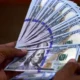 دولت درباره قیمت دلار به در بسته خورد (۱۱ دی)