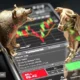 پیش بینی بورس فردا با سیگنال ادامه سقوط در بازار
