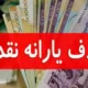 این افراد با یارانه خود خداحافظی کنند | خودروی شخصی باعث حذف یارانه می‌شود ؟