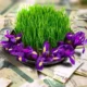 دست چه کسانی از واریزی عیدانه دولت کوتاه شد ؟