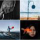 گزارش تصویری| برندگان مسابقه‌ی عکاسی موبایل شیائومی ۲۰۲۴