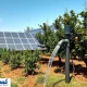 دولت از بی‌برقی به جان یک صنعت دیگر افتاد !