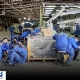 باز هم بی‌مدیریتی ؛ تیشه به جان اقتصاد کشور خورد