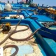 محموله عظیمی از سرمایه ملی به کشور بازگردانده شد