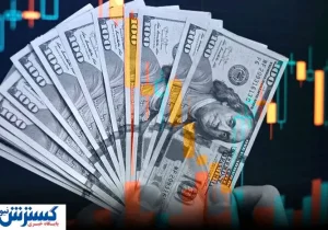 پیش بینی حساس قیمت دلار بعد از سقوط نرخ اخیر