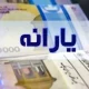 یارانه نقدی تیرماه با طعم کالابرگ | حساب‌ها شارژ شد
