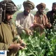 اخراج افغان‌ها برای ایران شر شد !