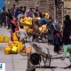 افغانستان به درد ایران دچار شد
