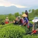 دولت به وعده‌اش عمل کرد | مطالبات پرداخت شد
