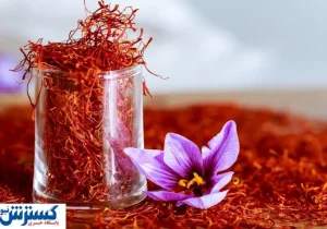طلای سرخ ۲۰۰ میلیونی شد | کمبود آب غوغا کرد