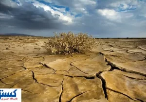 بی‌ تدبیری مرگبار مسئولین دردسرساز شد
