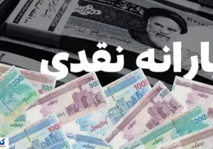 تبدیل یارانه نقدی به کالابرگ الکترونیکی با چند کلیک