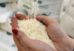 قیمت برنج امروز ۳۰ آذر ۱۴۰۴ / برنج طارم چند؟