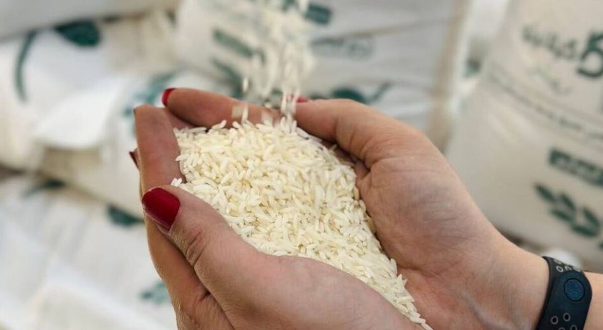 قیمت برنج امروز ۳۰ آذر ۱۴۰۴ / برنج طارم چند؟