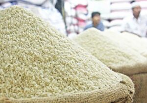 قیمت برنج ۱۰ درصد گران می‌شود
