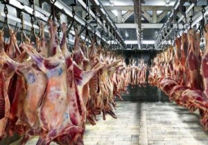 قیمت گوشت قرمز امروز ۱ دی ۱۴۰۴ / ران گوساله چند؟