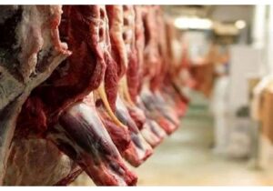 قیمت گوشت قرمز امروز ۳۰ آذر ۱۴۰۴ / راسته گوسفندی چند؟