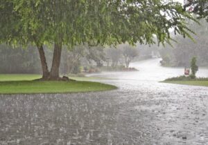 کم‌بارشی ۷۱ میلی‌متری تهران نسبت به میانگین بلندمدت| تداوم کم‌آبی در نیمه شمالی کشور