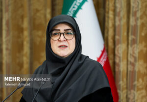 بازدید سخنگوی دولت از مرز مهران