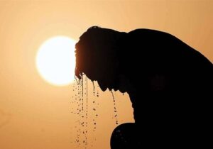 تلفات بی‌سابقه گرما در آلمان